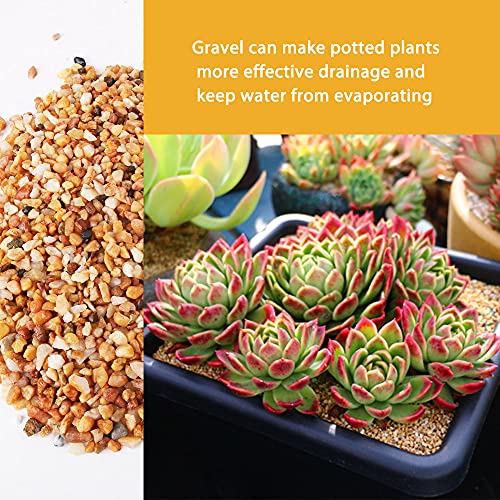 7lb Cactus Pea Gravel Rocks (112 Fl Oz)