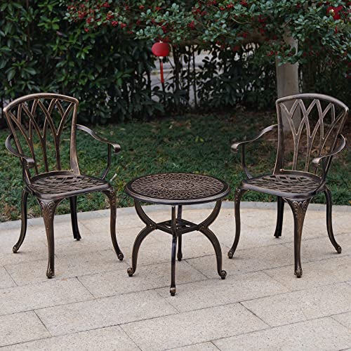 Jardin DE CENTENNAIL 3