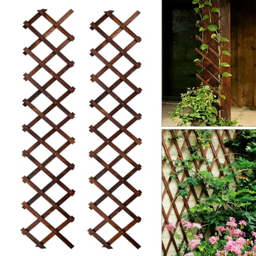 2Pcs Expandable Garden Trellis (2 Count)