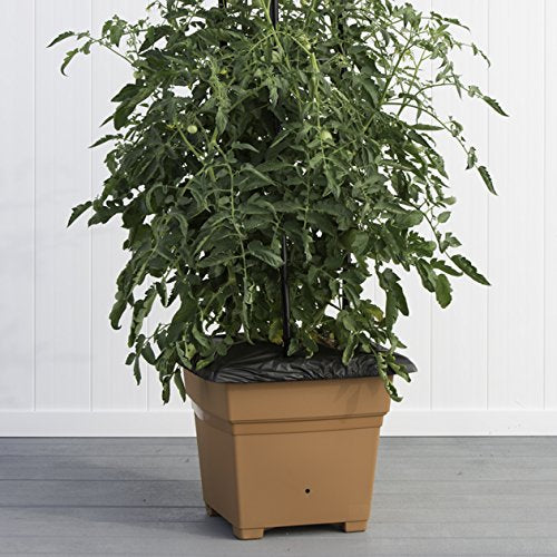 81705 Garden Kit