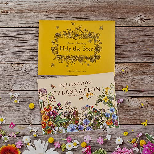 Bentley Pollination Celebration Wildflower Seed Packets (25 Count)