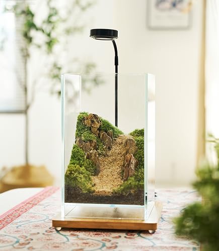 27 PCS Glass Plant Terrarium Kit with LED Grow Light (Tall Cube Set)