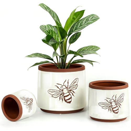 Terracotta Pots (8+6+4 Inch / White Bee)
