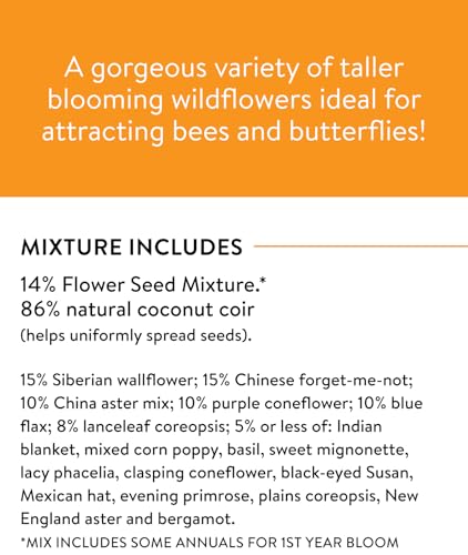 Wildflower 25