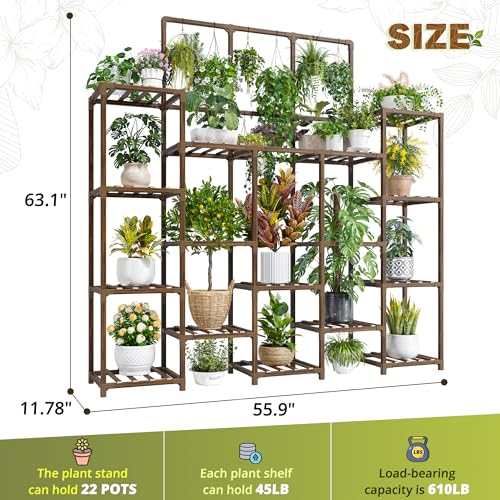 Tall Plant Stand (22 Count)