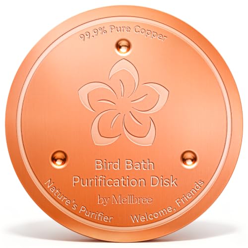 Bird Bath Copper Disk (Copper Flower)