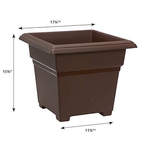 81703.01 Root & Veg Garden Kit