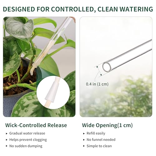 13 oz Up 2 Weeks Extra Large Plant Watering Globes (XL (13 oz) – 2 Pack)
