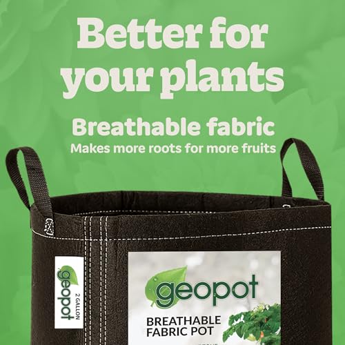 2 Gallon Fabric Grow Bags with Handles for Vegetables (10 Count)