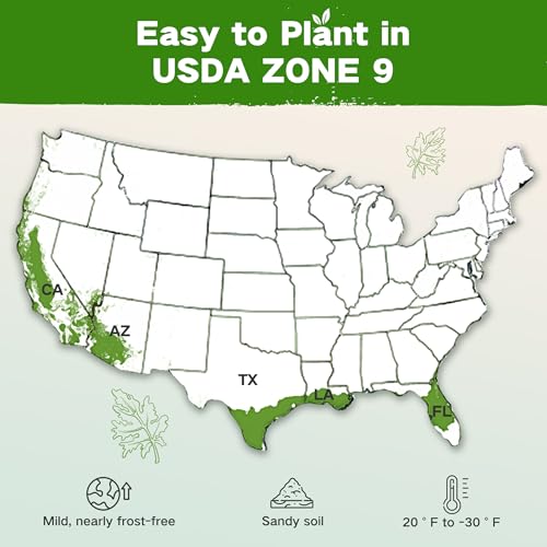 Lush&Dew Zone 9 Seed Bank (32 Count)