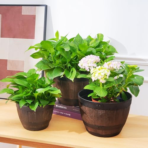 Plant Pots with Drainage Holes & Saucer (3 Count)