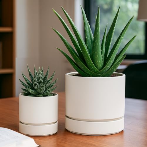 6 Inch Planter Pot with Drainage Hole & Saucer (6" (2 Pack) / Oatmeal)
