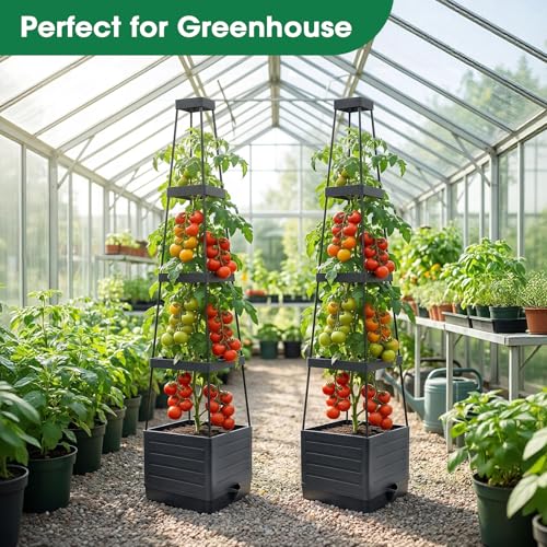 2Pack Raised Garden Bed Planter Boxes with Trellis (2 Count)