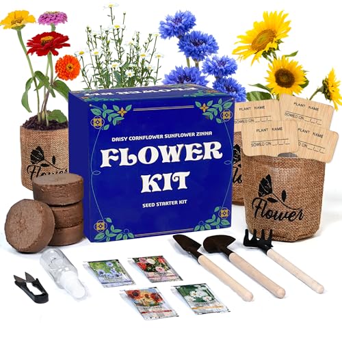 Indoor Daisy Garden Starter Kit (4 Count)