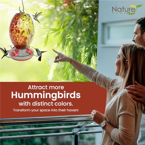 Glass Hummingbird Feeder for Outdoors