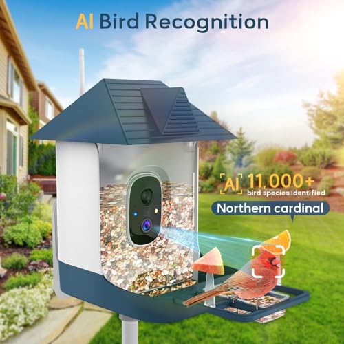 FHD Bird Feeder with Camera