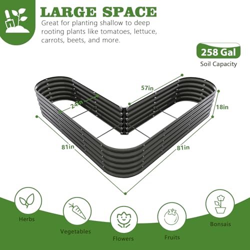 Anleolife 33 Bed Multi (33 Count)