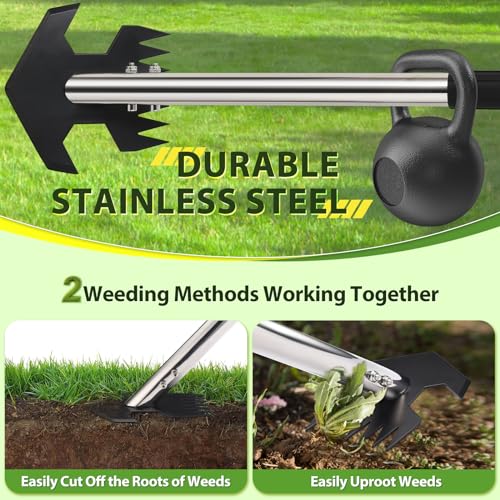 Hoe Garden Tool