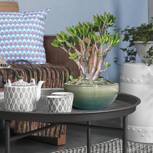 11 9 7 Inch Succulent Pot with Drainage and Mesh Pads Large Round Ceramic Plant Pot for Indoor Outdoor Plants Succulent Planter Cactus Bonsai Pot Container Set of 3 (3 Count)