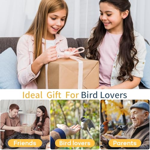 FHD Bird Feeder with Camera