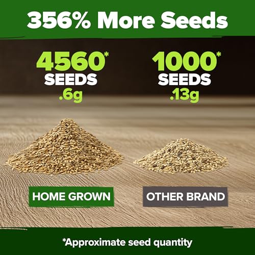 German Chamomile Seeds (2 Count)