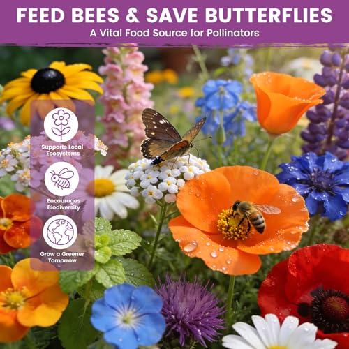 Wildflower Seeds Bulk Mix