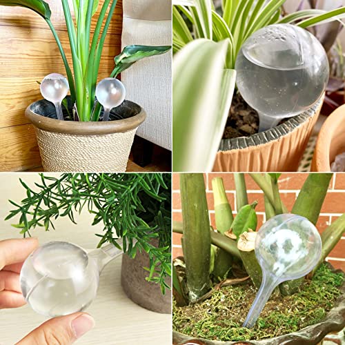 8 Pcs Clear Plant Watering Globes