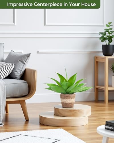Fake Agave with Rattan Pot