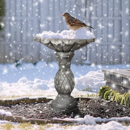 24.8" H Cement Modern Outdoor Bird Bath