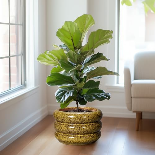 Ceramic Pots for Plants (13 Inch / Leopard Print Yellow)