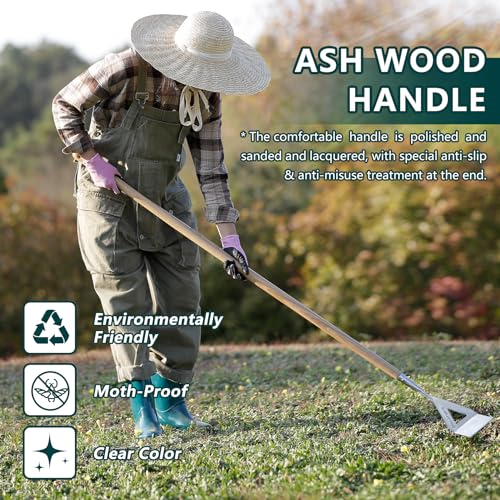 Dutch Hoe Stainless Steel Head with Wooden Handle Weeder