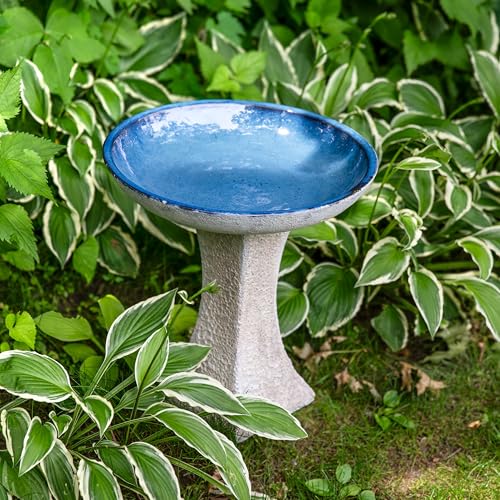 Sunnydaze Ceramic Bird Bath Bowl