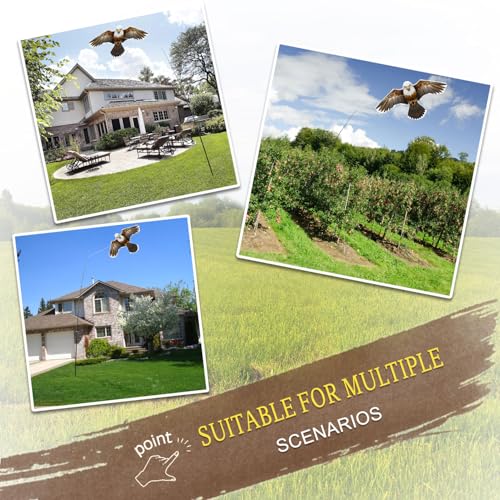 Bird Scarer Kite with 13ft Pole Bird Hawk Flying Kites (eagle kite with 4m pole)