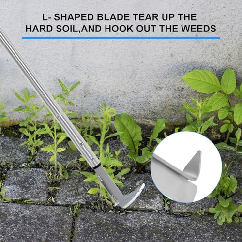 Crack Weeder Stainless Steel Manual Crevice Weeding Tool