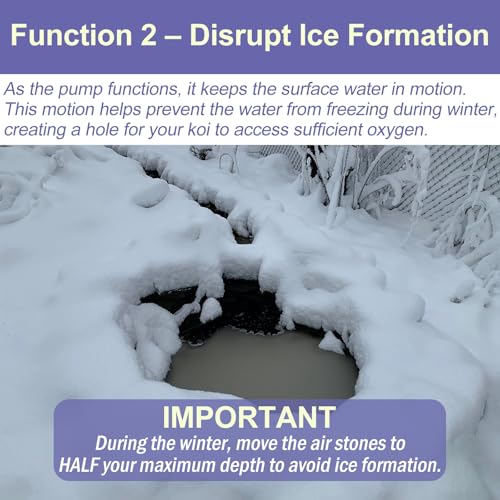 Koi Pond Aerator Pond Air Pump with Self