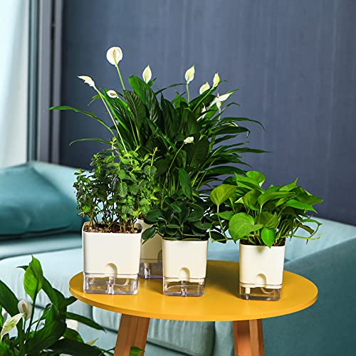 Self Watering Plant Pots for Indoor Plants 7