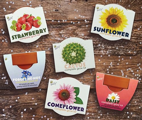 Seeds Assorted Flower Grow Kit 12 (12 Count)