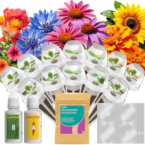 Flower Seed Pods Kit for AeroGarden