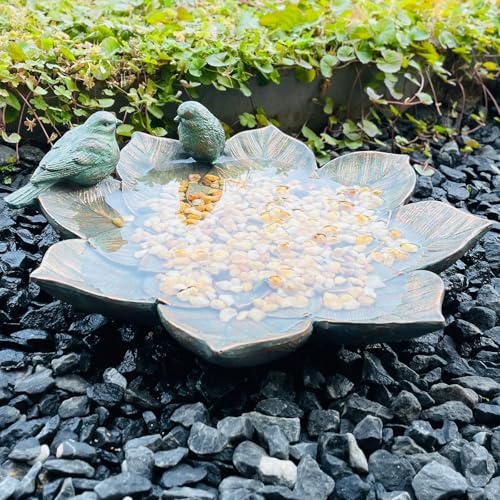 Bird Feeder and Outdoor Bird Bath Bowl