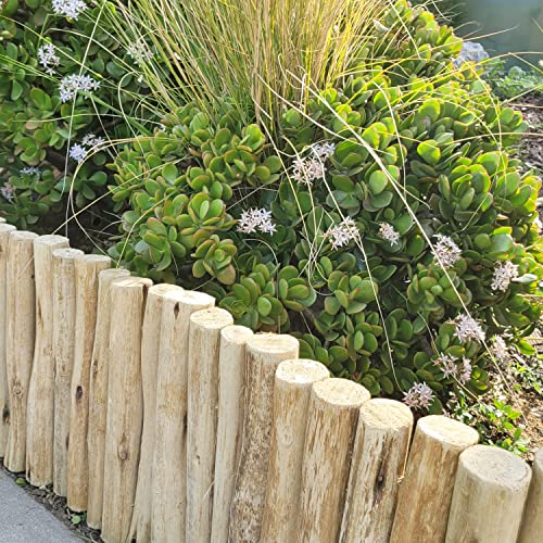 Natural Eucalyptus Wood Solid Log for Garden Border Edging Landscaping Borders Lawn 72 in L x 12 in H x 1.25 in D (12 inches / Natural)