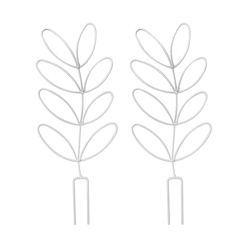 2Pack Indoor Plant Trellis Metal Wire Garden Trellis (2 Count)