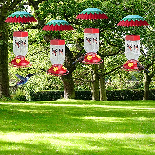 8" Hummingbird Feeder Dome Baffle with Ant Moat