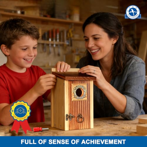 2 Pack Premium Bird House