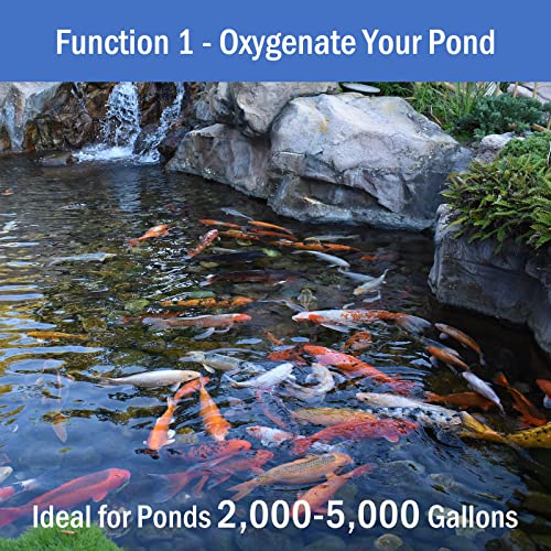 All-in-One Pond Aeration System - Koi Pond Aerator with Air Pump for 2000-5000 Gallons - Self-Sinking Airline, Flow Control, Rubber Air Diffuser