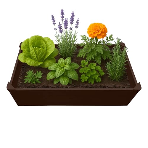 Raised Garden Bed