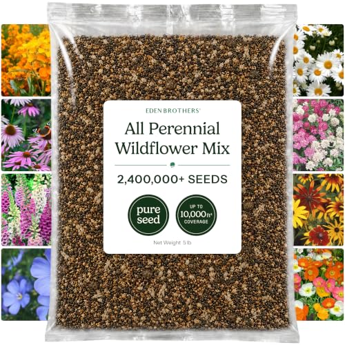 All Perennial Wildflower Mixed Seeds for Planting (80 Ounce)