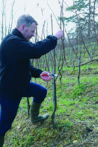 F17 Pruning Shears