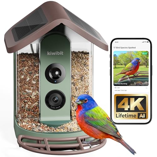 Solar Smart Bird Feeder with Camera