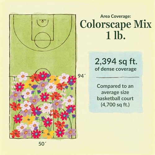 Colorscape Bulk Wildflower Seeds (16 Ounce)