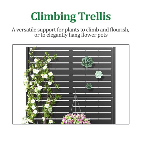 Metal Raised Garden Bed with Trellis